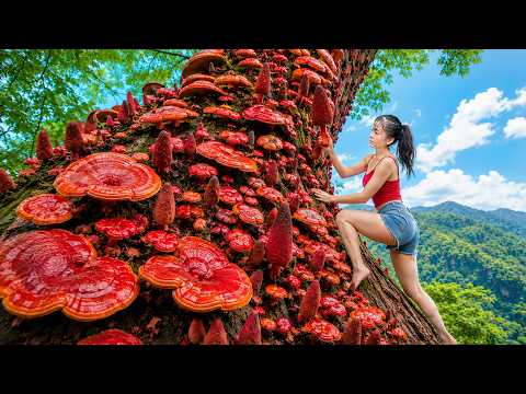 [TIMELAPSE] 200 Days in the Forest Harvesting Wild Mushrooms and Bamboo Shoots to Sell at the Market