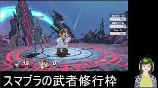 【スマブラSP】初々しいスマブラSP武者修行【風宮ハオ#1】