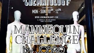 Mannequin Challenge by JOBRO