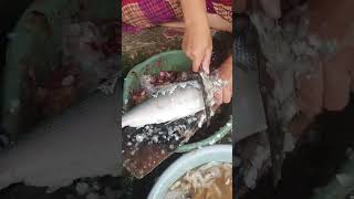 Download lagu CARA CEPAT BERSIHKAN IKAN BANDENG #SHORTS mp3 Download lagu CARA CEPAT BERSIHKAN IKAN BANDENG #SHORTS mp3