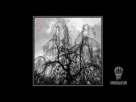 Colin Stetson and Sarah Neufeld | "The sun roars into view"