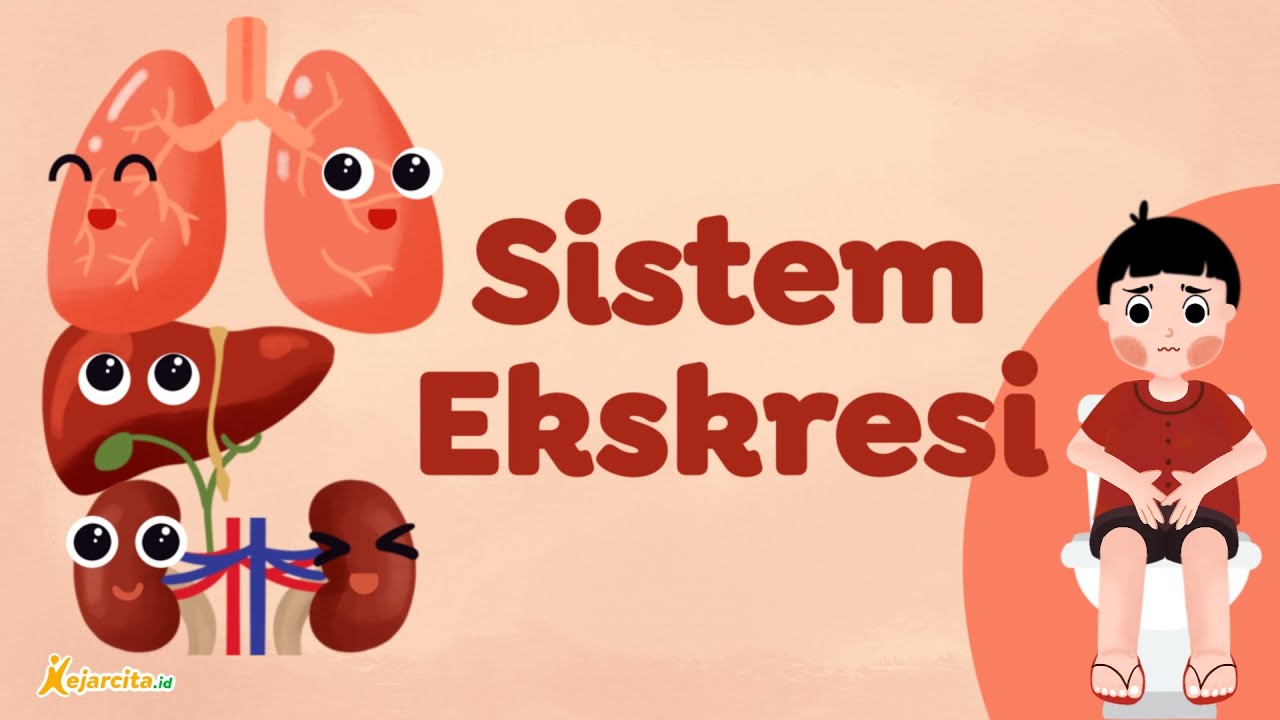Sistem Ekskresi | IPA SMP