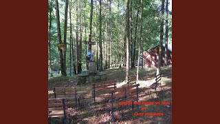 Christ Has Eased My Pain