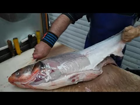 Busa tisztítása nyúzása konyhakészre egyszerűen - Cleaning and skinning the busa, ready for cooking
