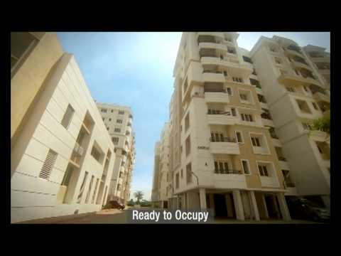 Walkthrough Walkthrough