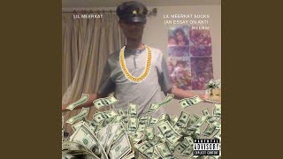 Lil Meerkat Sucks (An Essay on Anti Weebs) Music Video