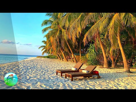 Muzică Terapeutică ce Curăță Energiile Negative și Atrage Bucuria, Fericirea și Abundență 432 Hz