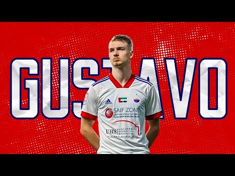GUSTAVO MULLER ► Defensive Skills, Goals & Assists (HD)