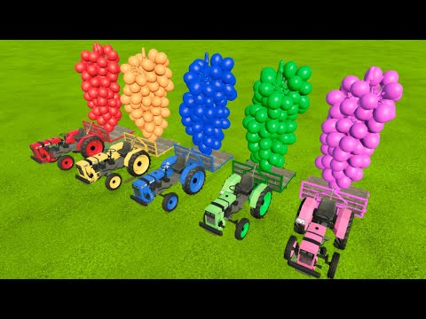 LOAD AND TRANSPORT GIANT GRAPES WITH LIZARD TRACTORS - Farming Simulator 22