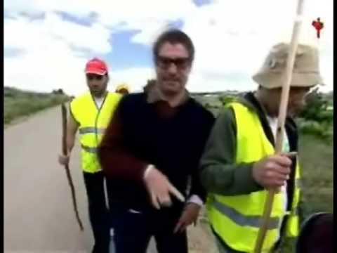 Os Contemporâneos - Chato "Os Peregrinos"