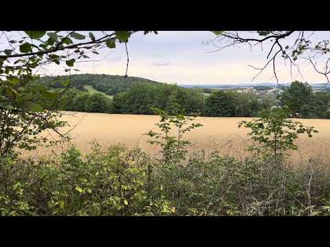 The Battle of Bautzen #2:  French far right flank