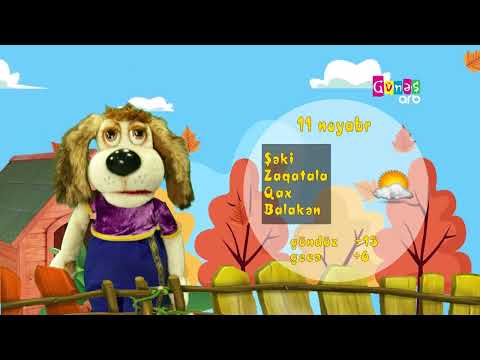 "Hava necə olacaq?" - 11 noyabr 2024-cü il