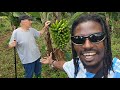 VACATION For MR LUIS IN AFRICA Is ENDING SOON