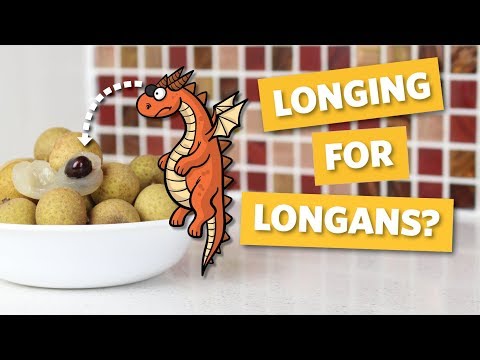 Southeast Asian Fruit Taste Test - Do Longans Taste Good?