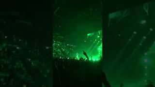 Bolla Papale Live Madman