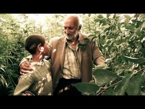 RUSTAM GEVIRGYAN MARTUNI