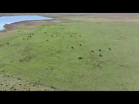 Estancia el Rancho, Topador, Artigas - Uruguay.