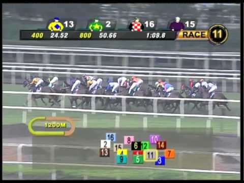 Longines Singapore Gold Cup 2011 (El Dorado)