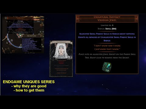 Endgame Uniques - Unnatural Instinct, Possibly The Best Jewel & How to get it - Path of Exile POE