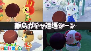 【プチ神回】欲しいキャラ7人と遭遇した主の反応が面白すぎた件ｗｗｗ【あつ森】