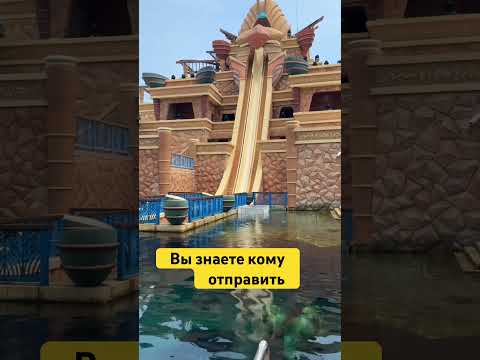 Очень правильные слова #motivation #youtube #followforfollowback #followme #followback #subscribe