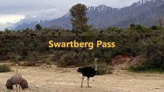 🚗 Drive over the Swartberg Pass