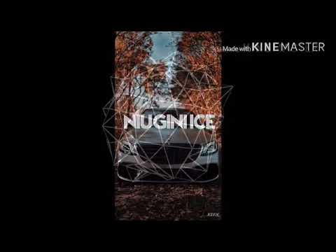 Vanboii ft Gryffins,Illenium & Daya - Feel good (Vanboii Style 2020) niugini Ice ♣️♣️♣️