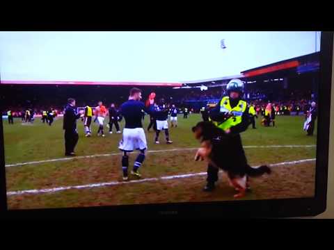 James Henry nearly eaten by police dog