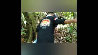 Download lagu Perjalanan masuk hutan sancang menuju curug kejayaan mp3 Download lagu Perjalanan masuk hutan sancang menuju curug kejayaan mp3