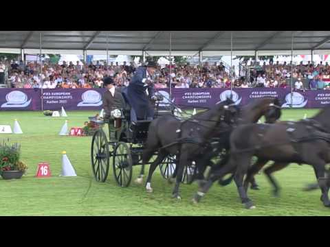 Reit EM: Mit Gespannfahrer Ijsbrand Chardon gehen die Pferde durch | Sportschau