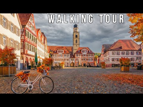 Bad Mergentheim | Herfstmagie langs de Romantische Route | Volledige Wandeltour