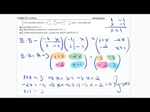 Bacalaureat 2021 - Tehnologic - Testul 10 - Teste antrenament - Clasa a 12-a