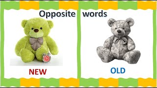Opposite words in English ll 20 opposite words  | OPPOSITE LETTERS | Antonyms