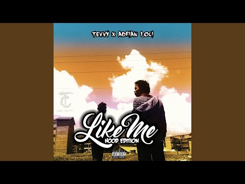 Like Me (feat. Tevvy)