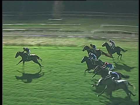 Galoppo 13/01/2018 - 5ª corsa