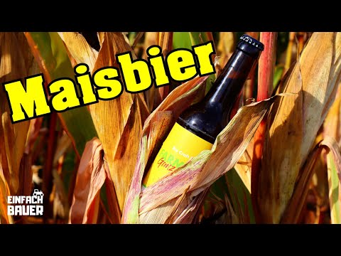 Maisbier ernten - Einfach Bauer