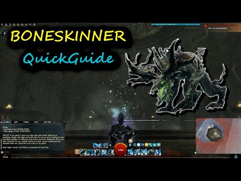 GW2 Boneskinner QuickGuide