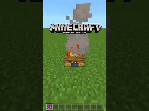 DIFERENCIAS ENTRE MINECRAFT JAVA Vs BEDROCK 👀 Parte 15 #shorts El Nono YT