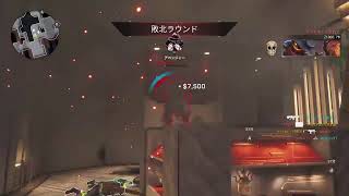 【Rogue Company】約14日目
