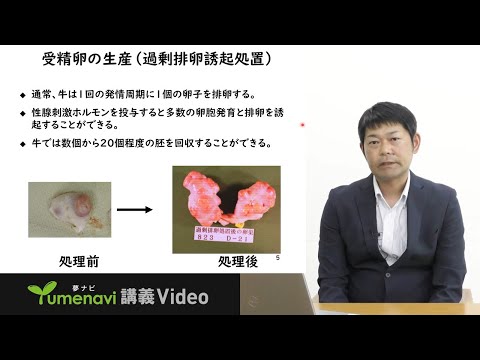 先端経営学科 【ミニ講義】経済能力の高い乳牛・肉牛の効率的な生産