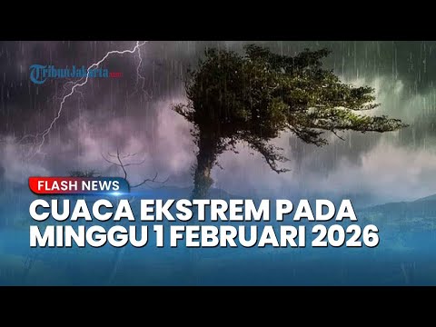 Peringatan Dini BMKG Cuaca Ekstrem 1 Februari 2026, Ini Wilayah Berpotensi Hujan Lebat Angin Kencang