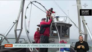 Miniatura do vídeo