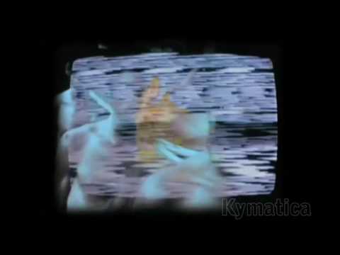 Freezone with Ben Stewart - 3 of 9