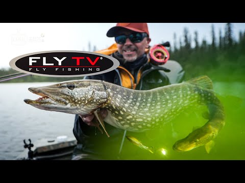 FLY TV - Riesen Hechte auf Fliege in Lapland