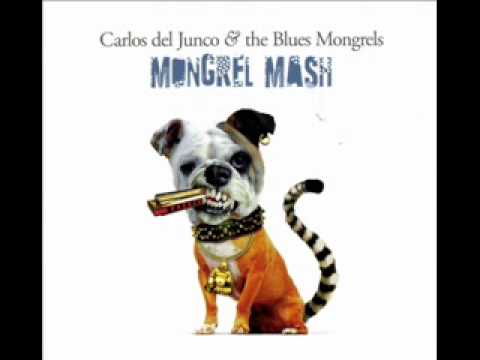 Carlos del Junco - The Field