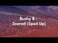 Bushy B Scared Lyrics Me You TikTok Song Sped Up