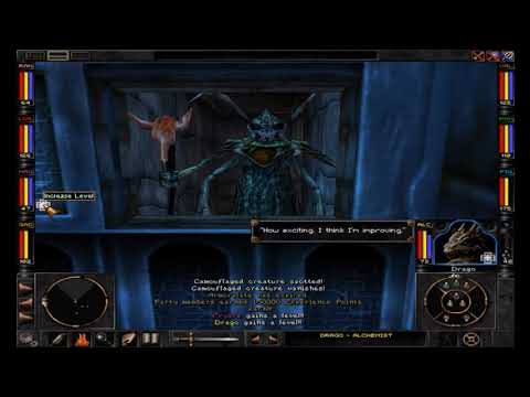 Wizardry 8 Gameplay Ep.41 - Z'Ant Quest!