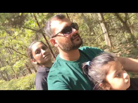 Vedantikala resort chakra experience