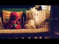 Barney S Great Adventure 1998 I Love You Scene 10 10 Movieclips