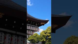 The BEST city of visit in Japan! #kyoto #japan